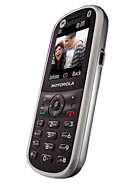 Best available price of Motorola WX288 in Costarica