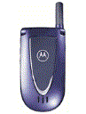 Best available price of Motorola V66i in Costarica